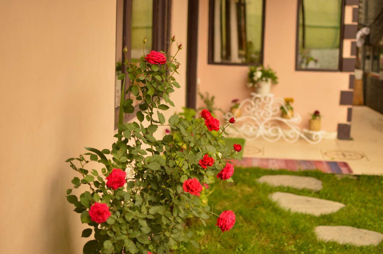 Hill House Manali -A Home In Mountains Εξωτερικό φωτογραφία